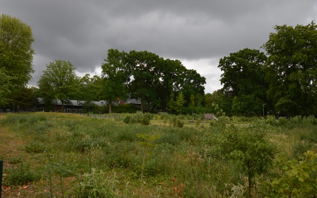 Bussum | Bodemsanering voormalig gasfabrieksterrein